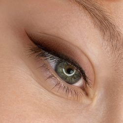 Ojos